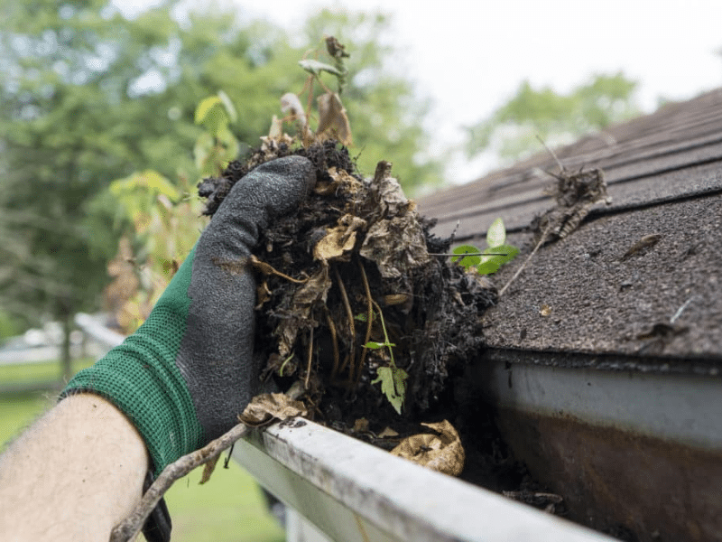 Gutter Clean Out Services Sarasota FL